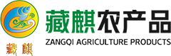 168体育·(中国)app手机端